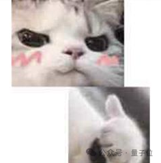更懂公务员的大模型:写作/意图理解/公文排版全拿捏,部署成本直降90%,来自金山办公