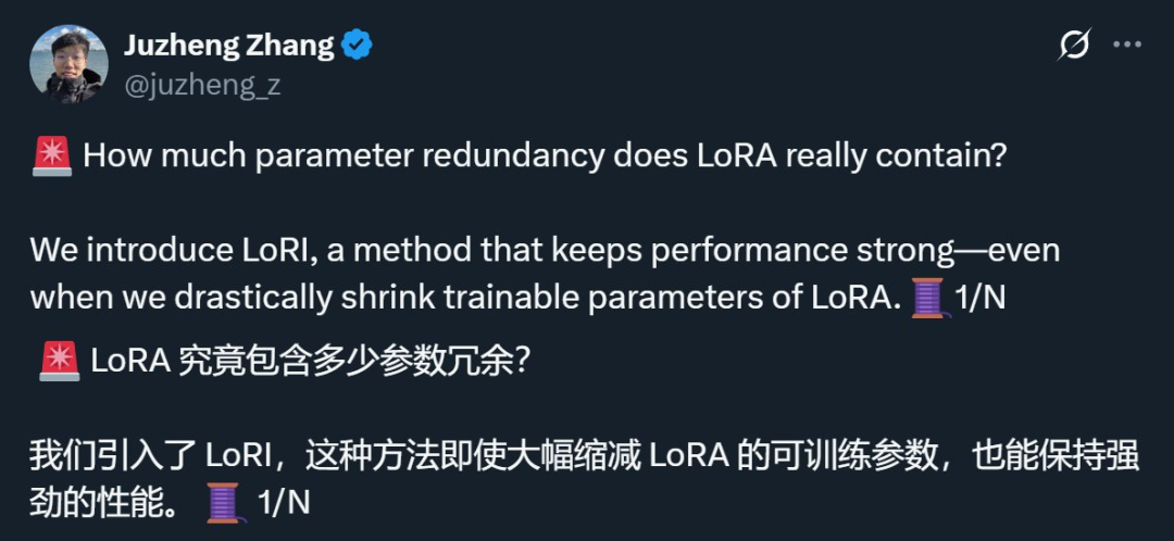 LoRI 기술, LoRA 파라미터 중복성 현저히 감소