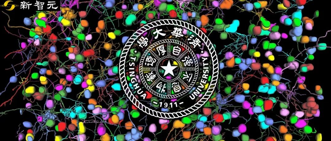 清华大学研发AI光学显微镜Meta-rLLS-VSIM,体积分辨率提升15.4倍
