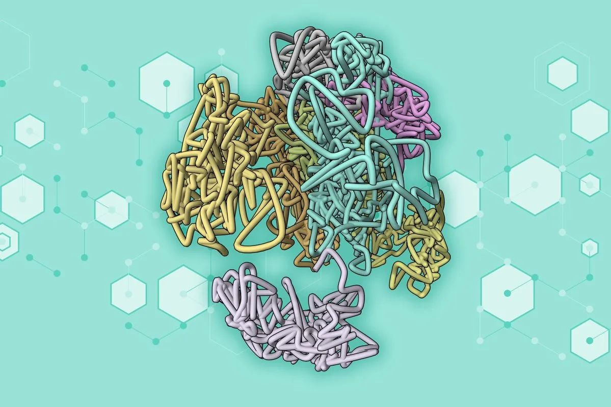 Químicos del MIT usan IA generativa para calcular estructuras genómicas 3D