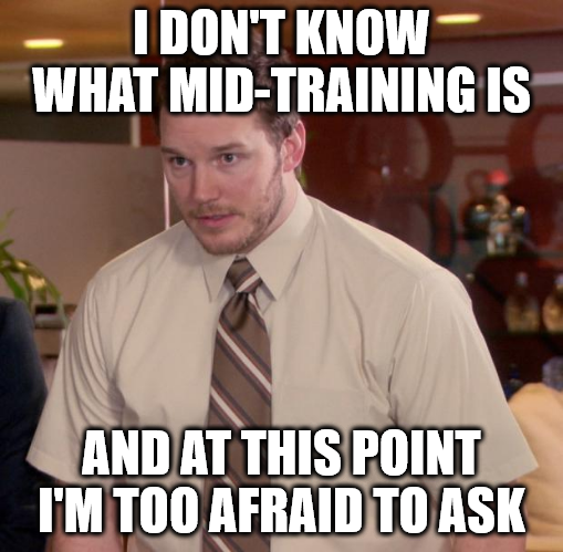 Обсуждение «промежуточного обучения (Mid-training)»
