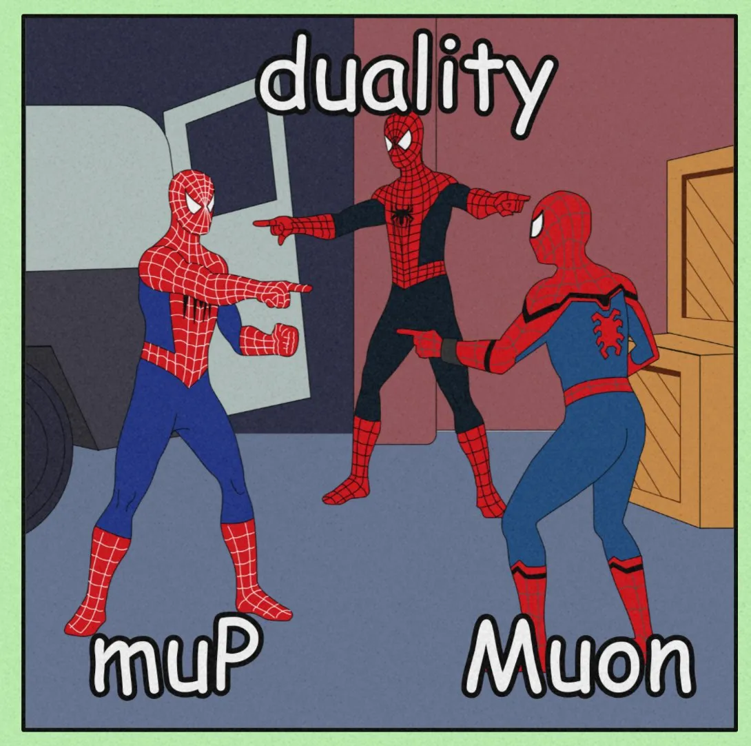 Mathematical Derivation Combining Muon Optimizer and μP Parametrization Gains Attention