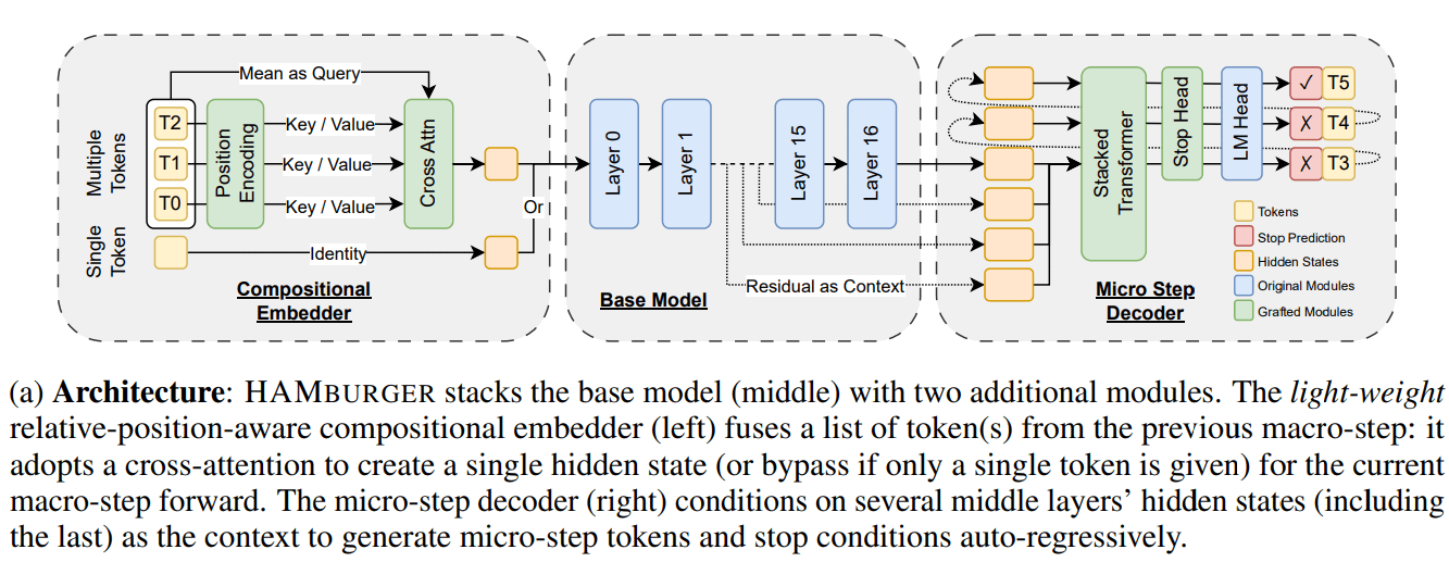Nueva investigación HAMburger acelera la inferencia de LLM mediante “Token Smashing”