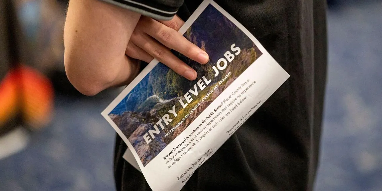 AI对入门级程序员就业市场的影响