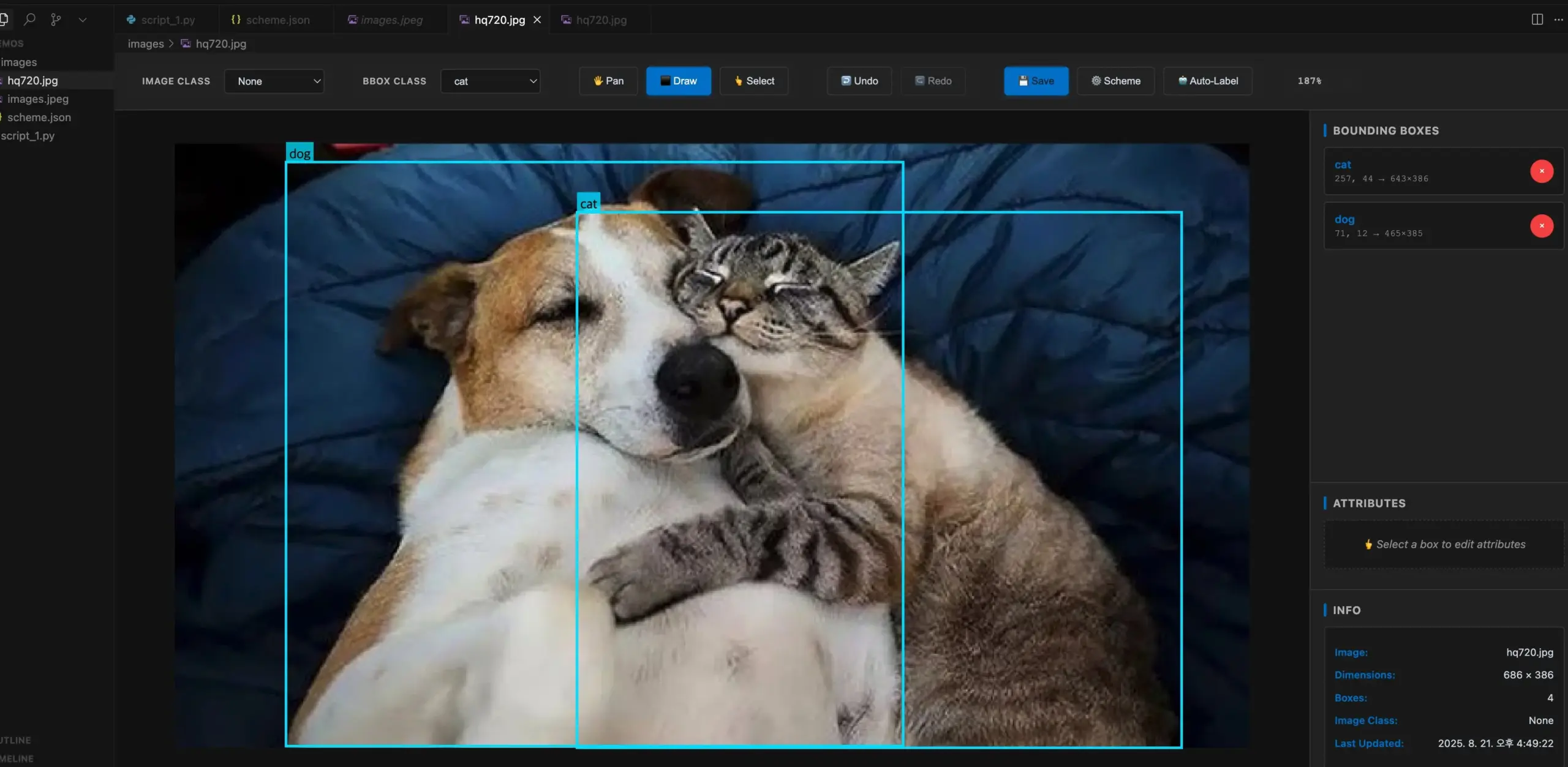 VS Code/Cursor扩展实现IDE内图像标注与伪标签生成