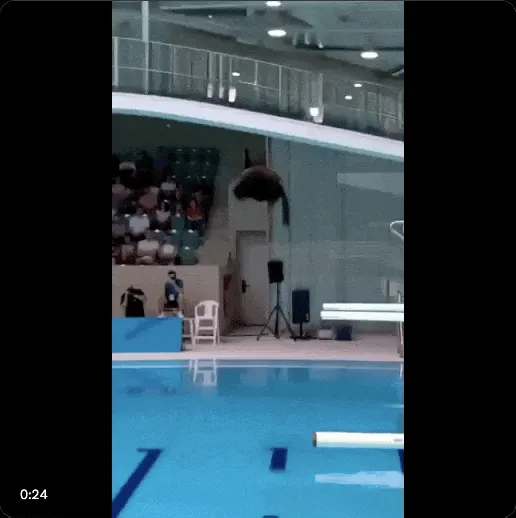 AI猫片与内容消费心理