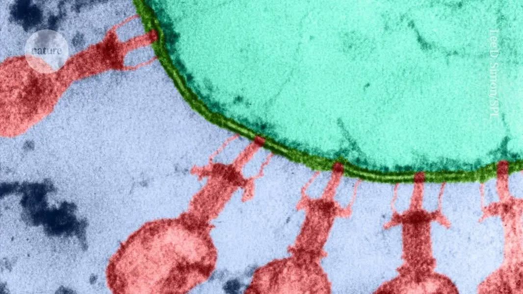 AI首次设计出可工作的病毒