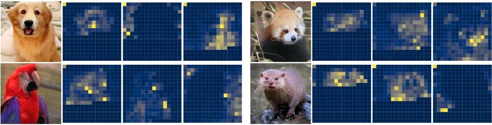 AI在科学与工程领域的应用研究