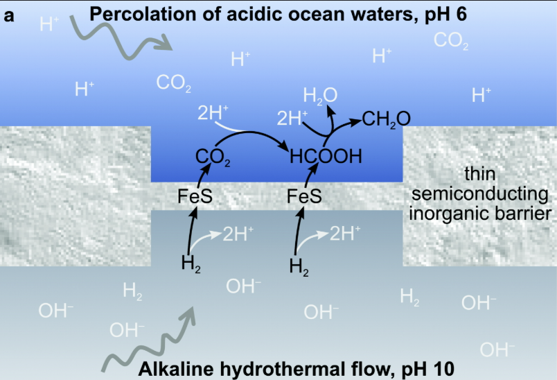 AI-generated genomes实现突破
