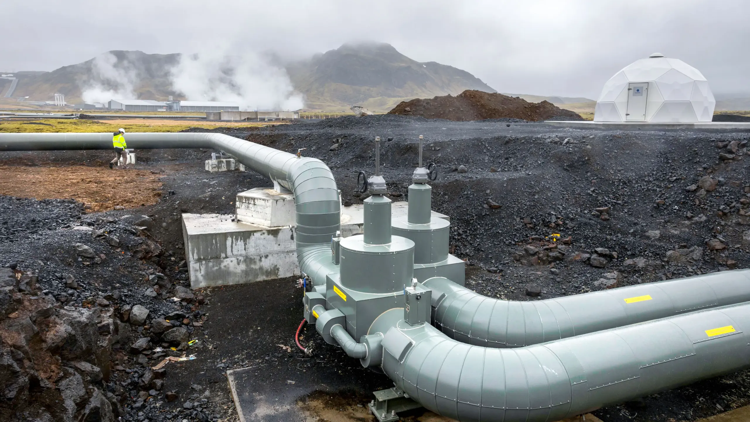 Challenges and Future Outlook for the Carbon Removal Industry