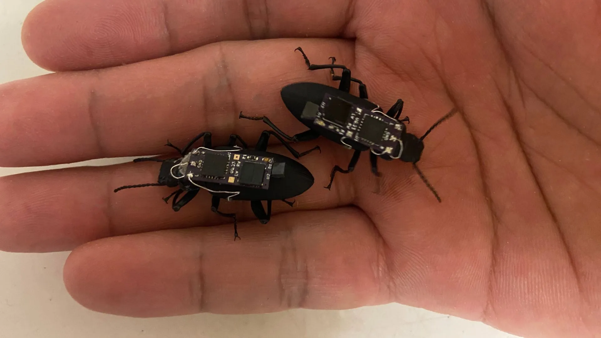 New Advances in Robotics: From Flexible Wrists to Bionic Beetles and Humanoid Robots