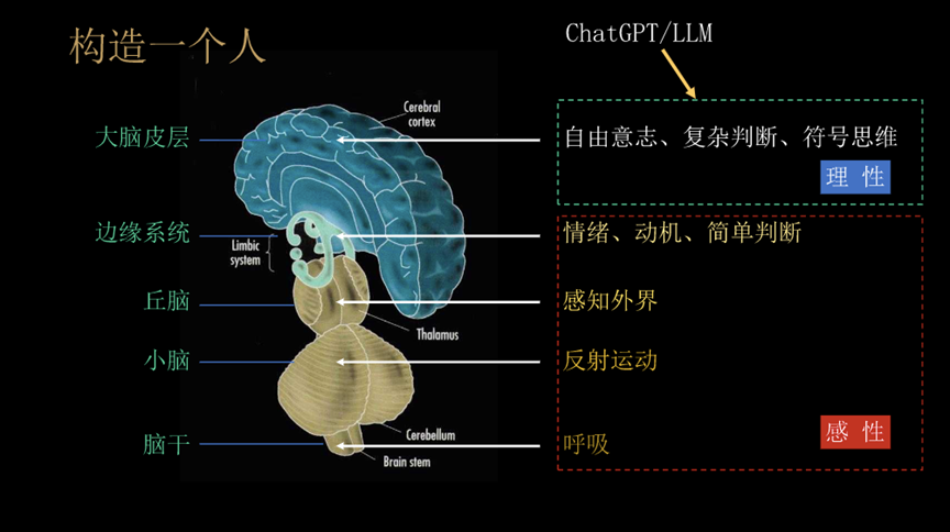 Regarding AGI and the future of humanity, you must see Professor Liu Jia of Tsinghua University's 10 perspectives