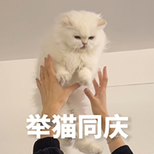 美团发布LongCat-Flash-Omni全模态模型