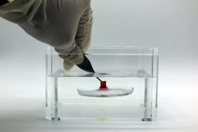 AI 모델 행동 및 사용자 경험