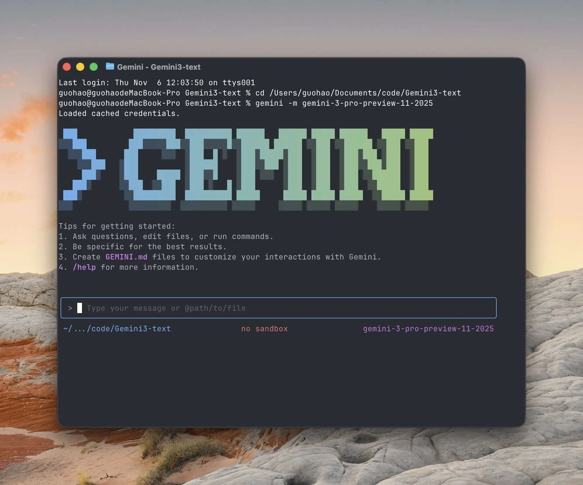 Google Gemini 3 Pro 모델 의도치 않게 유출, 커뮤니티 관심 집중
